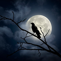 iStock-1333237768.jpg