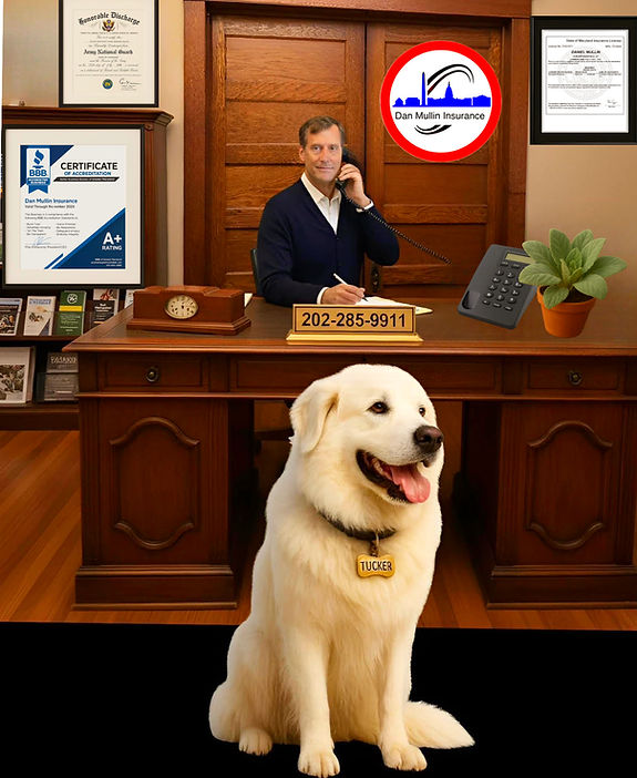 Dan in office (35)_edited.jpg