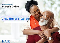 BUYERS GUIDE view (35).jpg