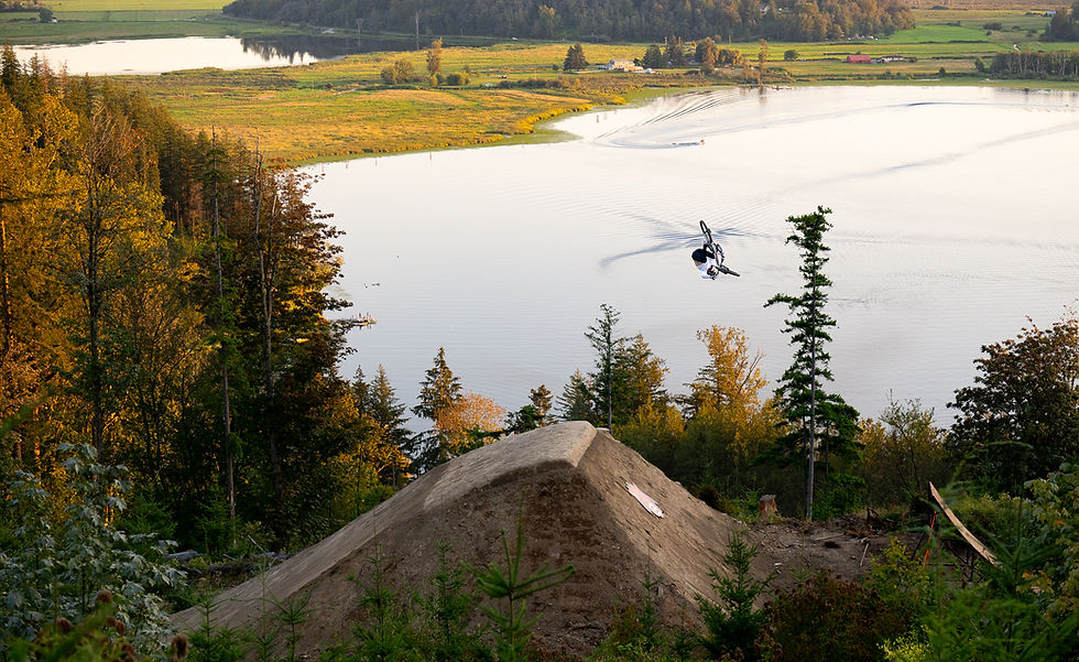 c-wiseman-brandon-6001_edited (1).jpg