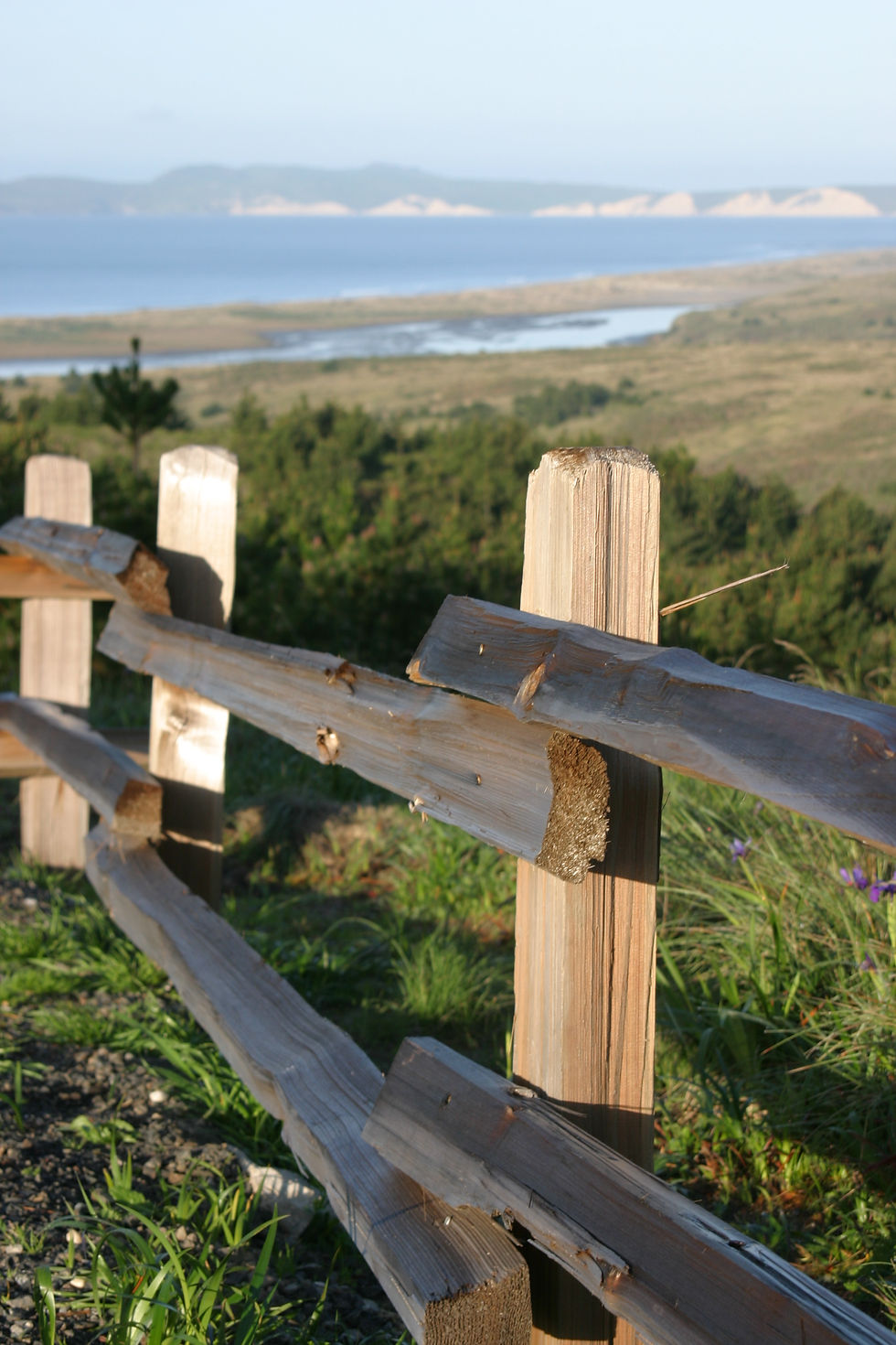 Point Reyes Fence