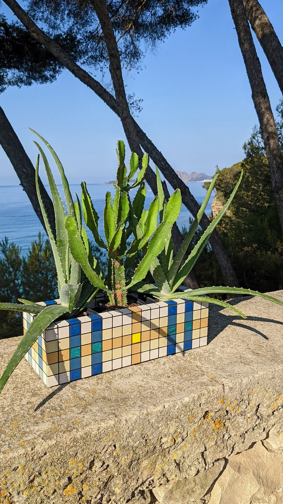 Miniature : Jardinière Marius