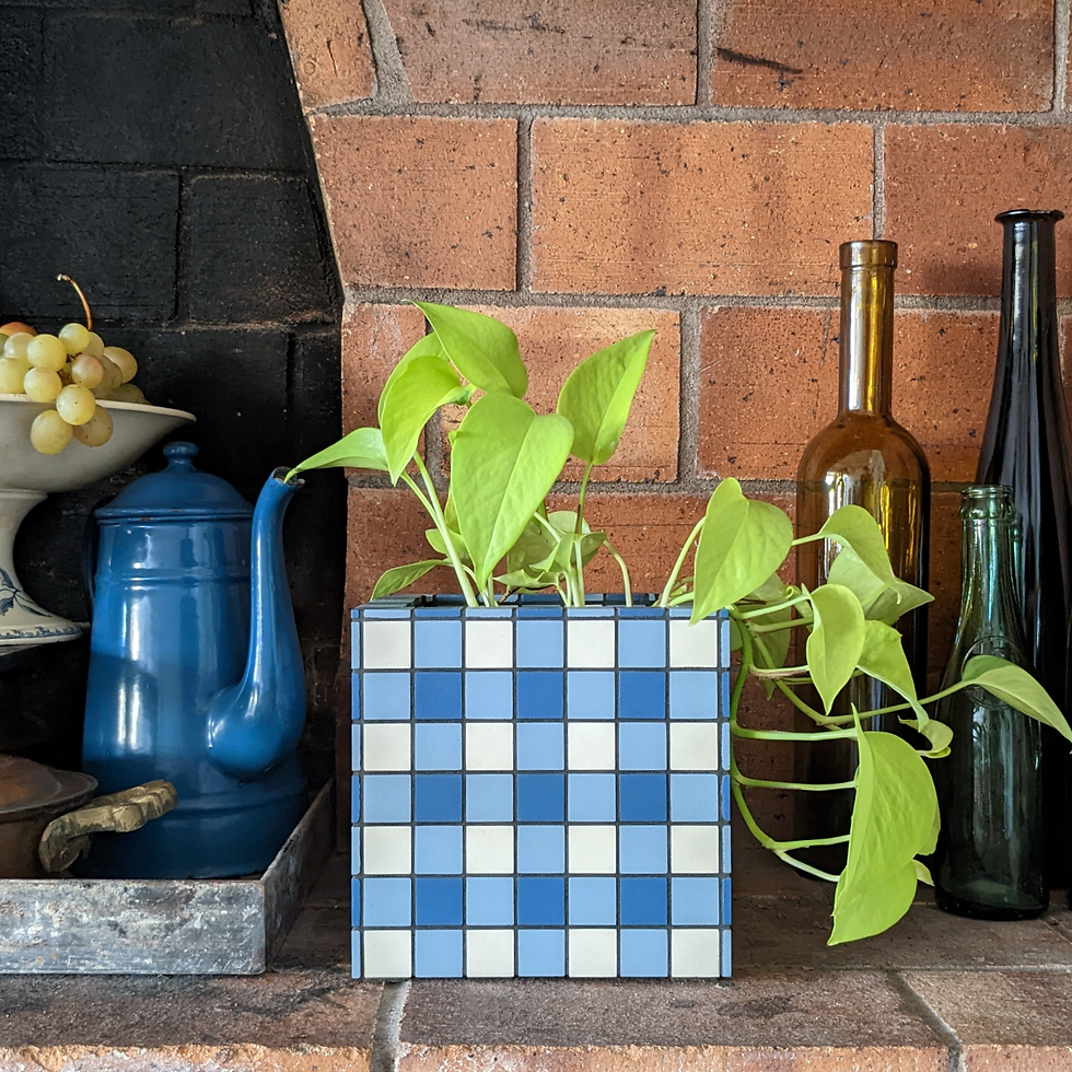 Miniature : Cache pot Vichy - Bleu