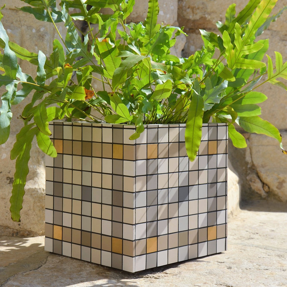 Thumbnail: Lucille 9