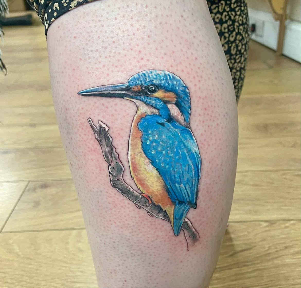 D008C422-5038-4E7F-93B8-76C5D6CF9FB7