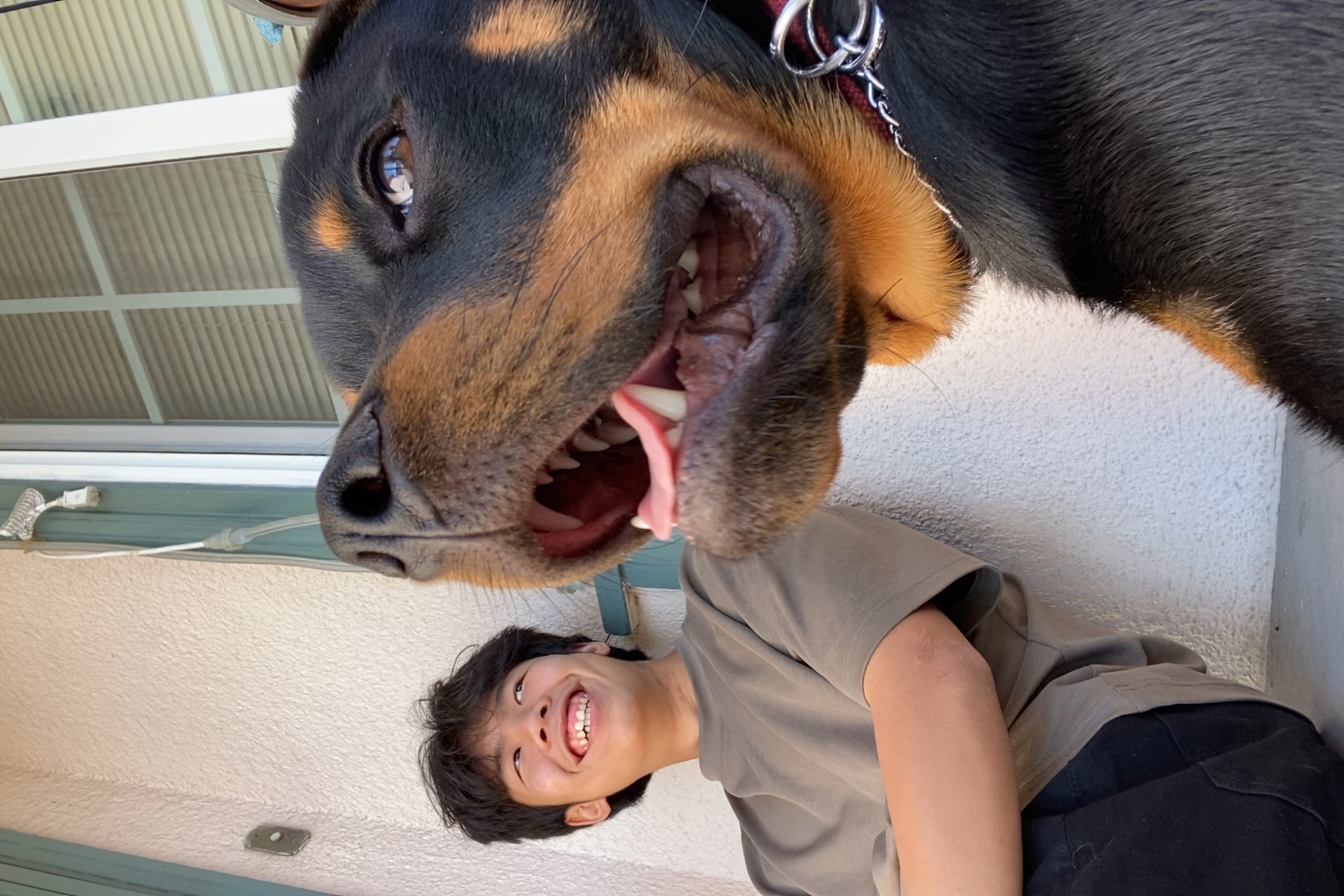 lp_image - Avery Saechao.jpeg