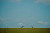 Visit Uganda Tours and Travel (59)_edited.jpg