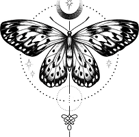 mariposa 1.png