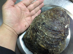 Facebook - 開けれんかと思った。。。（；゜０゜）