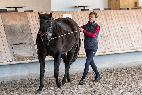 Arbeit am langen Zügel, Körperhaltung sehr wichtig, reitsimulator.training Eliane Künzle