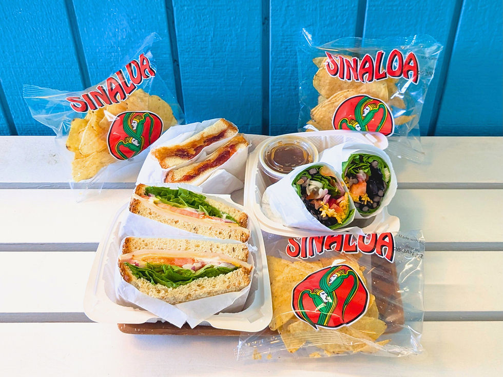 Miniatura: Golfinhos & Snorkeling em Ohau