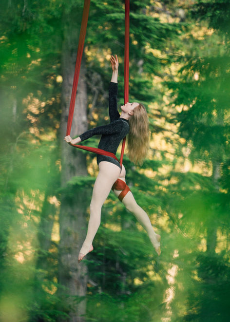 Sasha Galitzki, Aerialist, in black body suit in the forest does performance art for corporate entertainment or wedding entertainment.