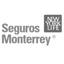 seguros m
