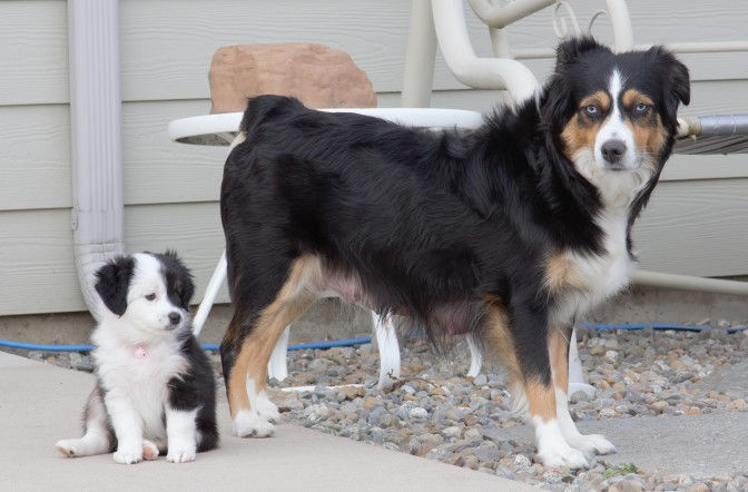 Ru-Bee and Sissy