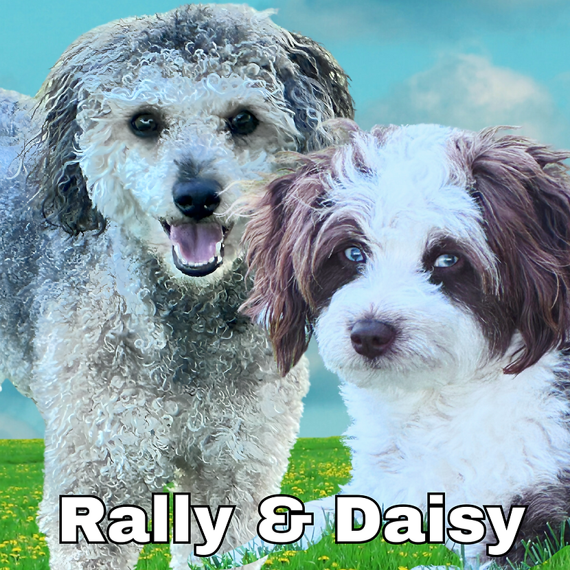 Rally & Daisy.png
