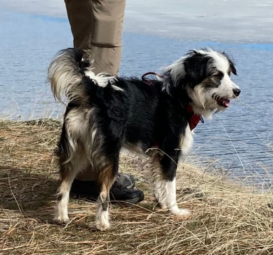 Roscoe hiking 2023