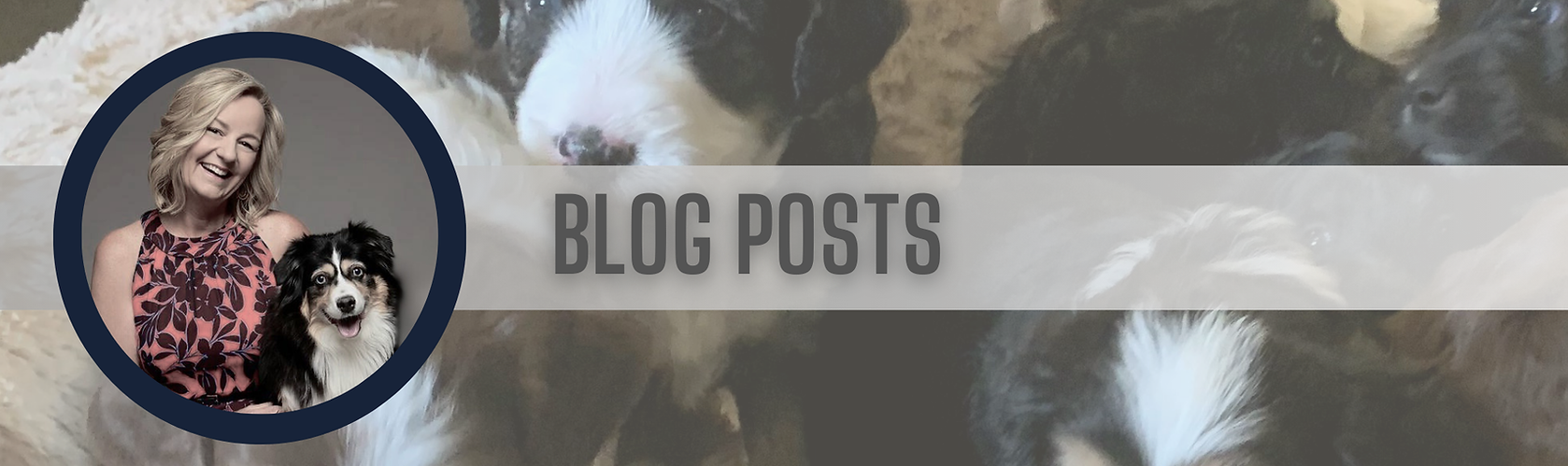 blog with DLT & RuBee (1).png