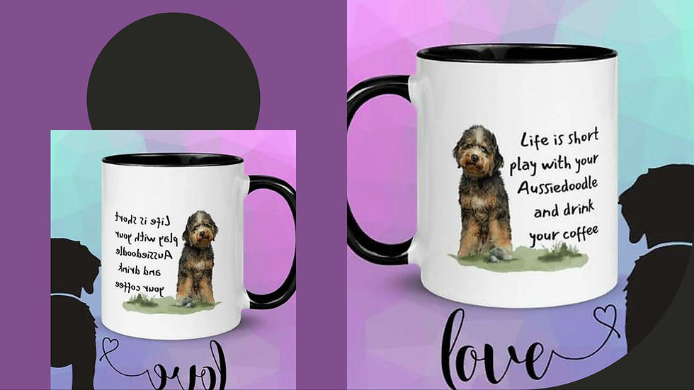 Thumbnail: Video - Life is short Play with your Aussiedoodle and drink your coffee