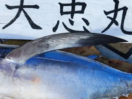 志摩沖