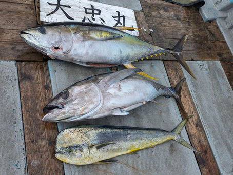 志摩沖