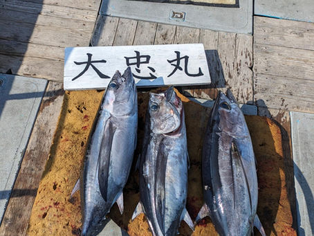 志摩沖