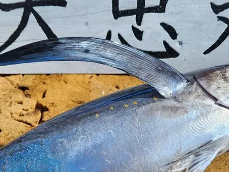 志摩沖