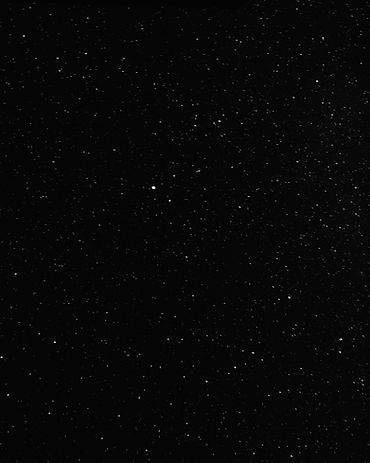 photo-1616712134411-6b6ae89bc3ba.jpeg