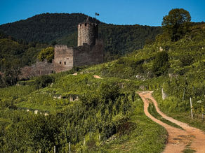 Quiet vineyard path to a castle above the village. 