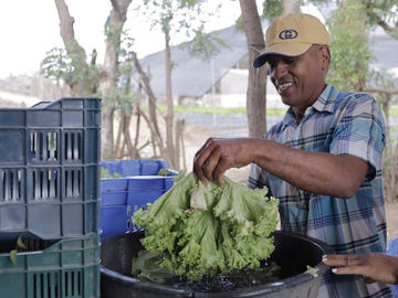 Agricultores familiares de Supérate serán favorecidos por decreto presidencial