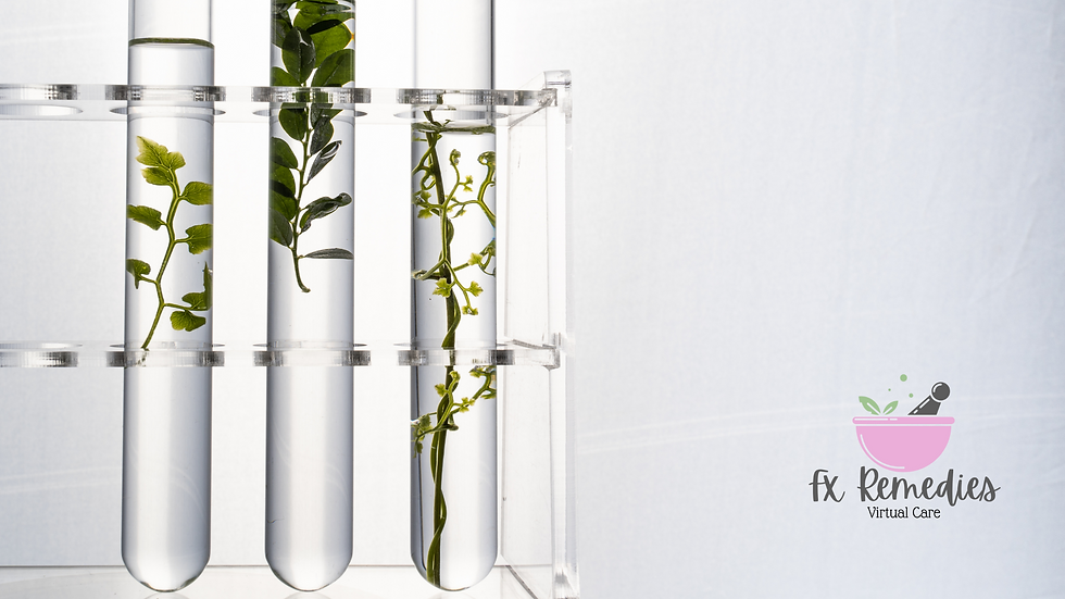 Test tubes with green plants inside, set in a clear rack. "fx Remedies Virtual Care" logo is visible on a white background.
