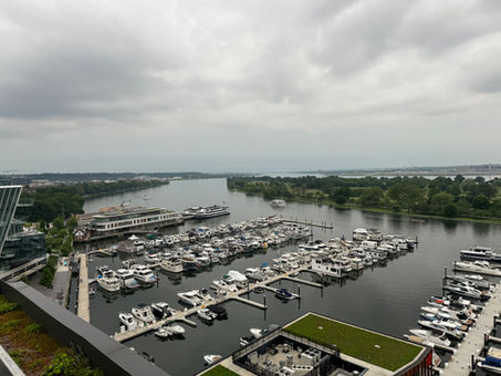 What Kind of Yacht do I buy?