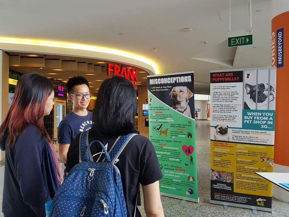 National University of Singapore Animal Day!!