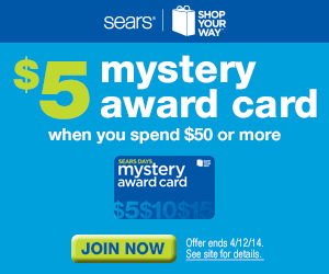 Shop Your Way Digital Campaign