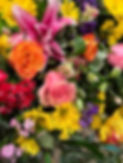 IMG_4646.jpeg