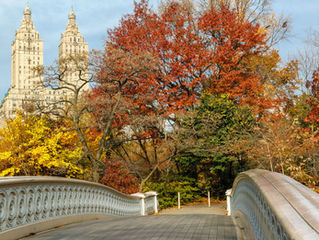 An introduction to New York's Upper East Side