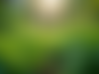 The Importance of Sustainable Living in Today's World