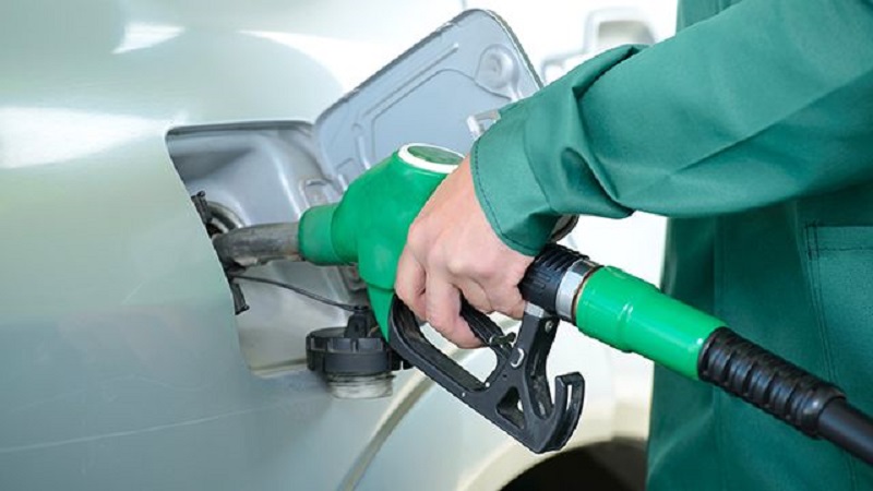 Абсурдные новости. 14 ноября 2017 года