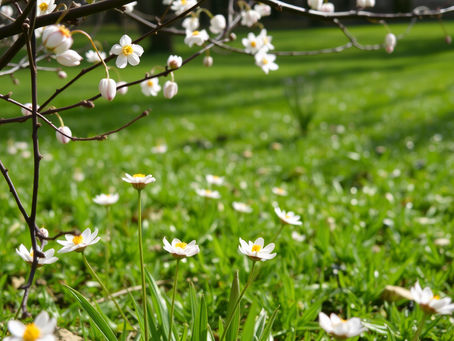 10 Spring Sensory Bins for Preschoolers (With Adaptations for Autism & Motor Needs)