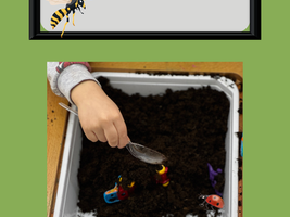 Adapting Backyard Bugs by Jill McDonald for an Autism ECSE Classroom