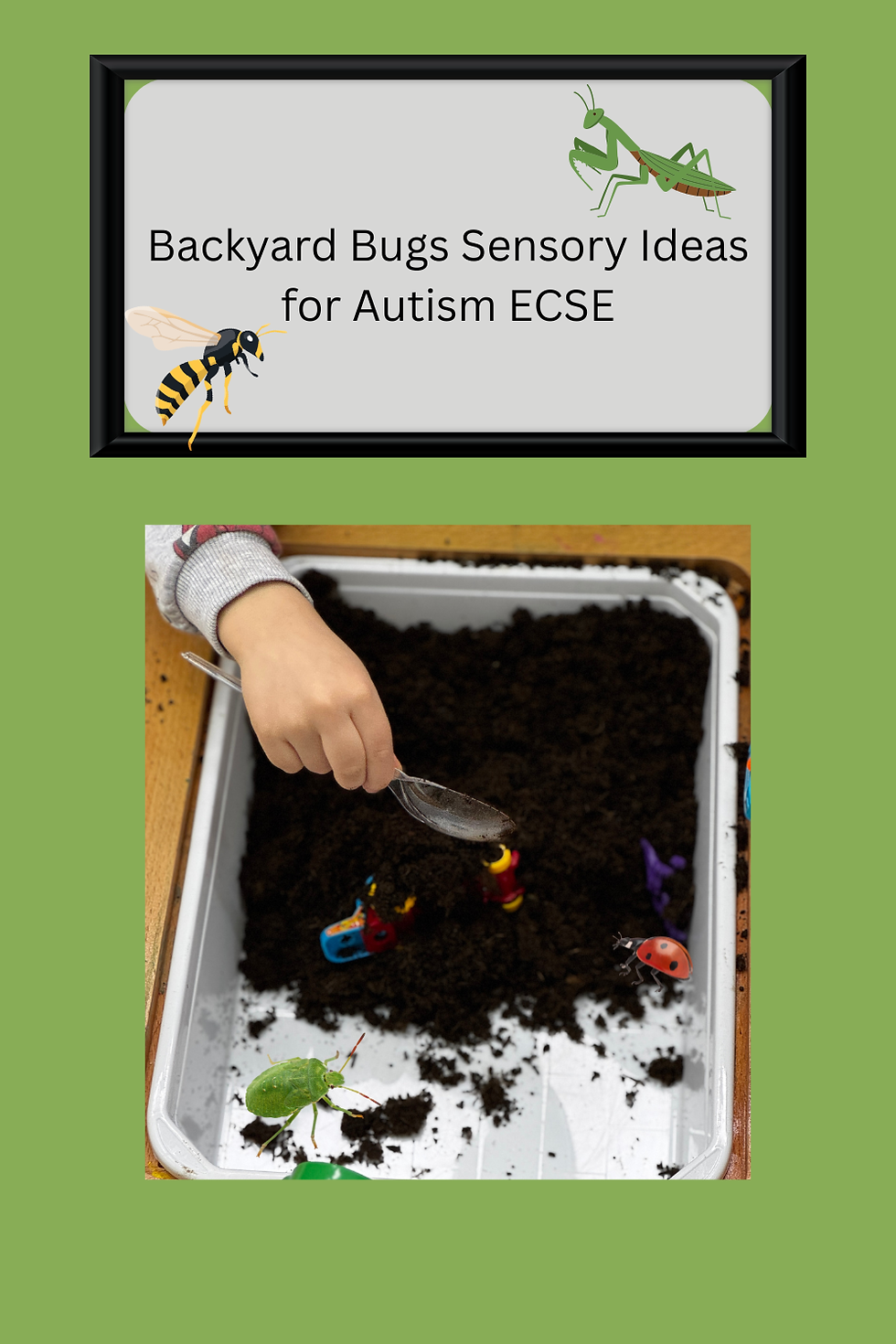 Adapting Backyard Bugs by Jill McDonald for an Autism ECSE Classroom