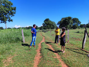 IBS technical guidance provides improvements in nutritional management in dairy farming