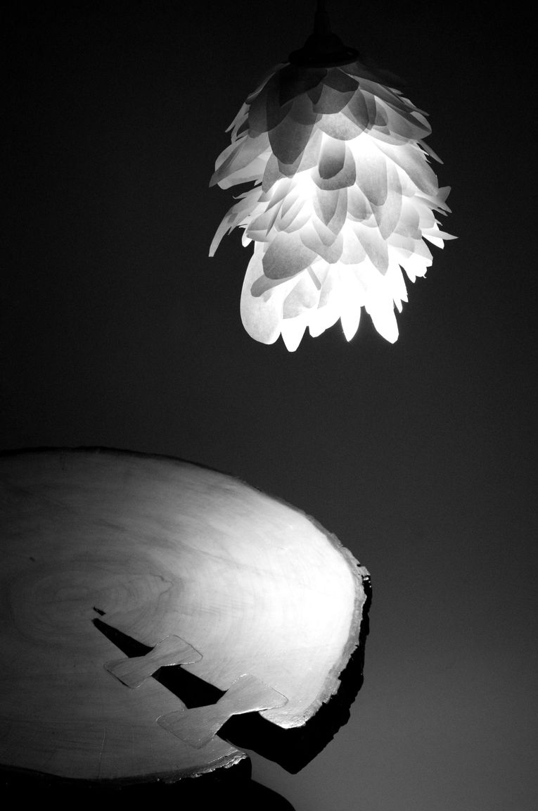 WILTLIGHT6%25202_edited_edited (1)_edited_edited.jpg