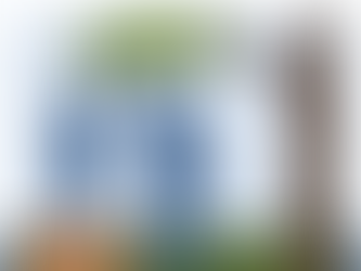 Yhdenvertaisuus: Mitä se on ja mitä se ei ole