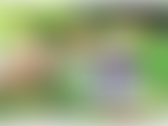 Foreclosure bail-out Loans