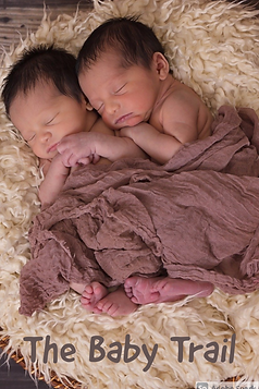 baby trail excerpt.png