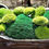 Thumbnail: Preserved Pillow Moss - 6 Pieces 