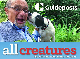 all creatures feature