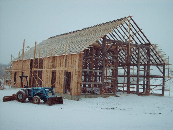 PICT0458.JPG