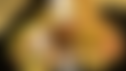 신선한 베트남 리치가 이제 프랑스에서도 판매됩니다