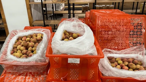 2025년 첫 생리치 수출 물량이 미국에 도착했다.